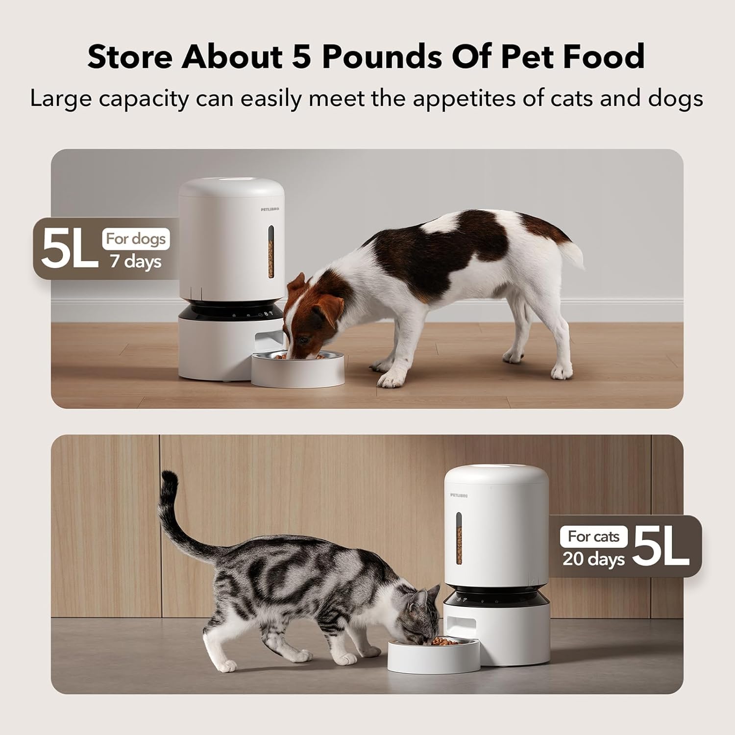 Automatic Cat Feeder Smart App Control