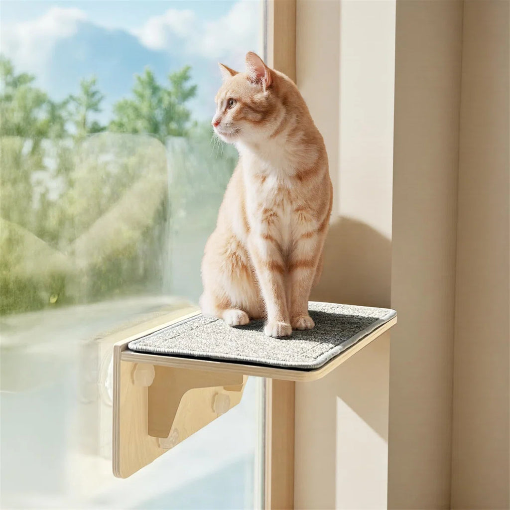 Hammock Pet Bed - Cat